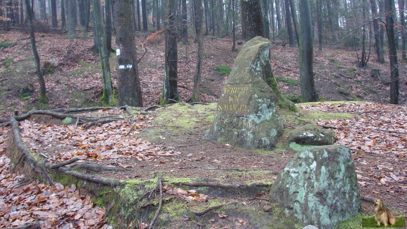 Ritterstein Nr. 066-4 Verhau vor Schanze I.jpg -  Ritterstein Nr.66  Verhau vor Schanze I